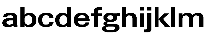 Neue Gstaad Variable Wide Semibold FONT