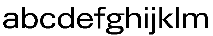 Neue Gstaad Variable Wide FONT