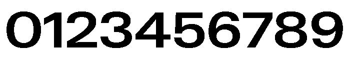 Neue Gstaad Wide Semibold Font OTHER CHARS
