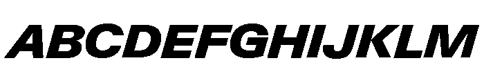 Neue Gstaad Wide Variable Wide Black Italic Font UPPERCASE