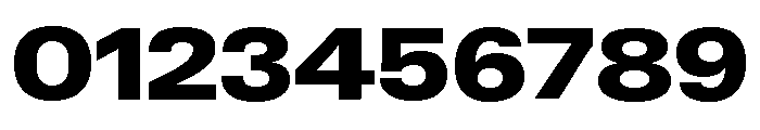 Neue Gstaad Wide Variable Wide Black Font OTHER CHARS