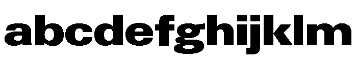 Neue Gstaad Wide Variable Wide Black FONT