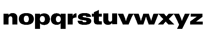 Neue Gstaad Wide Variable Wide Black Font LOWERCASE