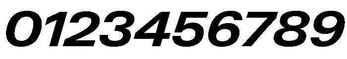 Neue Gstaad Wide Variable Wide Bold Italic Font OTHER CHARS