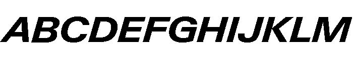 Neue Gstaad Wide Variable Wide Bold Italic Font UPPERCASE