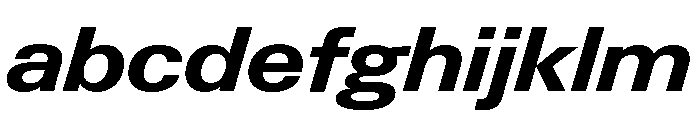 Neue Gstaad Wide Variable Wide Bold Italic FONT