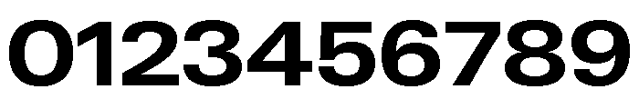 Neue Gstaad Wide Variable Wide Bold Font OTHER CHARS