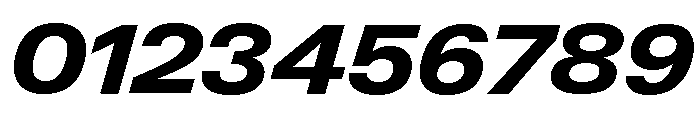 Neue Gstaad Wide Variable Wide Extrabold Italic Font OTHER CHARS