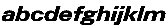 Neue Gstaad Wide Variable Wide Extrabold Italic FONT