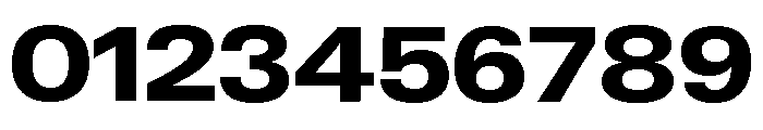 Neue Gstaad Wide Variable Wide Extrabold Font OTHER CHARS