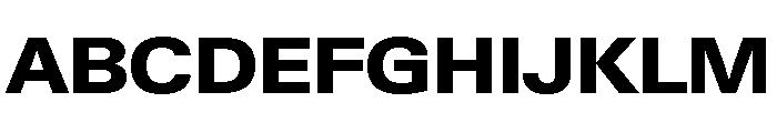 Neue Gstaad Wide Variable Wide Extrabold Font UPPERCASE