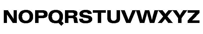 Neue Gstaad Wide Variable Wide Extrabold Font UPPERCASE