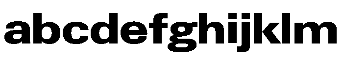 Neue Gstaad Wide Variable Wide Extrabold FONT