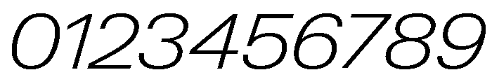 Neue Gstaad Wide Variable Wide Extralight Italic Font OTHER CHARS