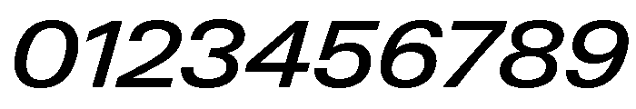 Neue Gstaad Wide Variable Wide Medium Italic Font OTHER CHARS