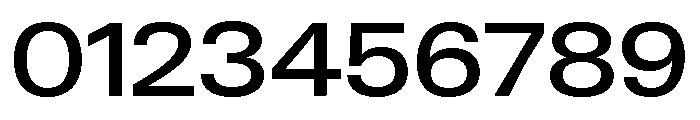 Neue Gstaad Wide Variable Wide Medium Font OTHER CHARS