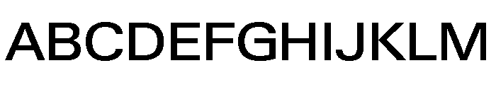 Neue Gstaad Wide Variable Wide Medium Font UPPERCASE