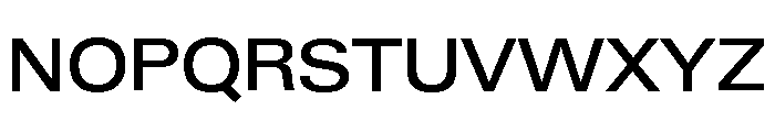 Neue Gstaad Wide Variable Wide Medium Font UPPERCASE