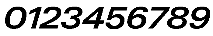 Neue Gstaad Wide Variable Wide Semibold Italic Font OTHER CHARS