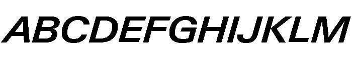 Neue Gstaad Wide Variable Wide Semibold Italic Font UPPERCASE