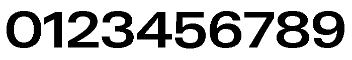 Neue Gstaad Wide Variable Wide Semibold Font OTHER CHARS