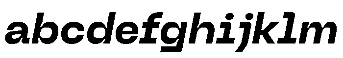Neue Machina Inktrap Variable Regular 16 FONT