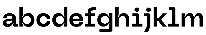 Neue Machina Inktrap Variable Regular 6 FONT
