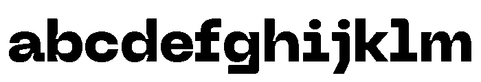 Neue Machina Inktrap Variable Regular 8 FONT