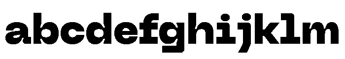 Neue Machina Inktrap Variable Regular 9 FONT
