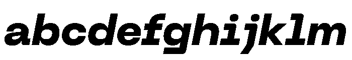 Neue Machina Plain Variable Regular 17 FONT
