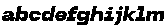 Neue Machina Plain Variable Regular 18 FONT