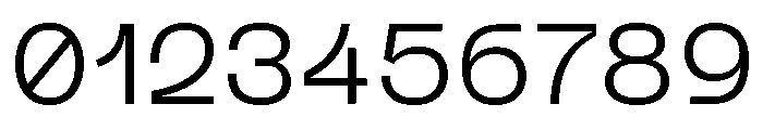 Neue Machina Plain Variable Regular 3 Font OTHER CHARS
