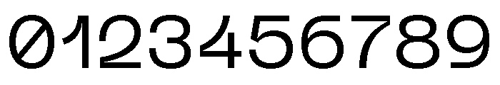 Neue Machina Plain Variable Regular 4 Font OTHER CHARS