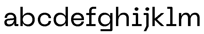 Neue Machina Plain Variable Regular 4 FONT