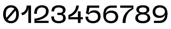Neue Machina Plain Variable Regular 5 Font OTHER CHARS