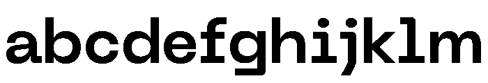 Neue Machina Plain Variable Regular 6 FONT