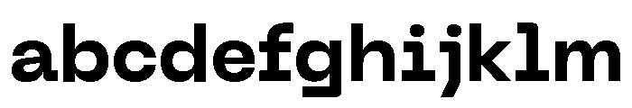 Neue Machina Plain Variable Regular 7 FONT