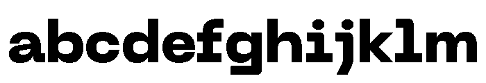 Neue Machina Plain Variable Regular 8 FONT