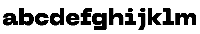 Neue Machina Plain Variable Regular 9 FONT