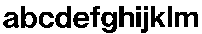 Neue Montreal Arabic SemiBold FONT