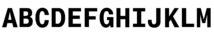 Neue Montreal Mono Variable Regular 11 Font UPPERCASE