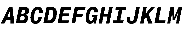 Neue Montreal Mono Variable Regular 12 Font UPPERCASE