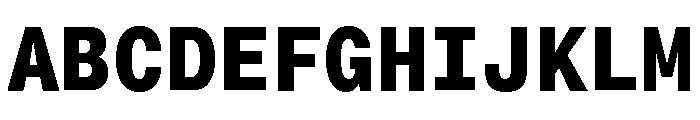 Neue Montreal Mono Variable Regular 13 Font UPPERCASE