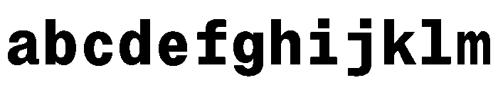 Neue Montreal Mono Variable Regular 13 FONT