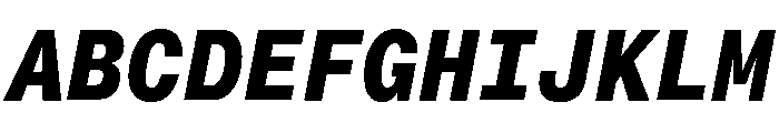 Neue Montreal Mono Variable Regular 14 Font UPPERCASE
