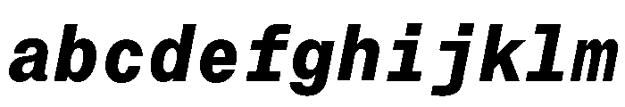 Neue Montreal Mono Variable Regular 14 FONT