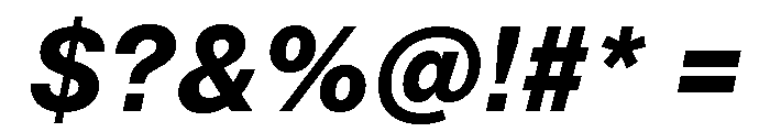 Neue Montreal Text Variable Bold Italic Font OTHER CHARS