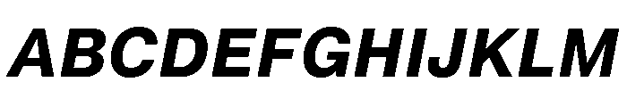 Neue Montreal Text Variable Bold Italic Font UPPERCASE