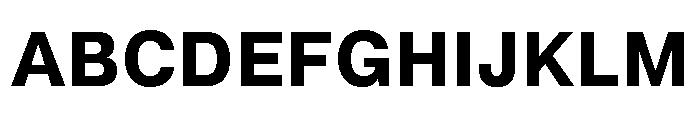 Neue Montreal Text Variable Bold Font UPPERCASE