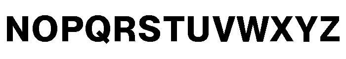 Neue Montreal Text Variable Bold Font UPPERCASE